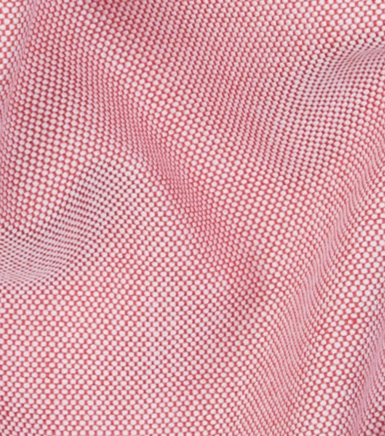 Camisa Thomas Mason Infroissable