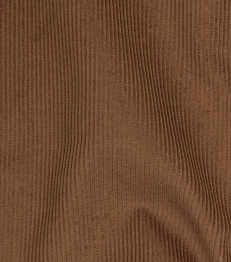 Camisa Thomas Mason Infroissable